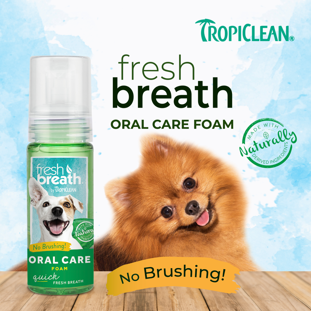 Tropiclean Fresh Breath Oral Care Foam For Dogs image 7