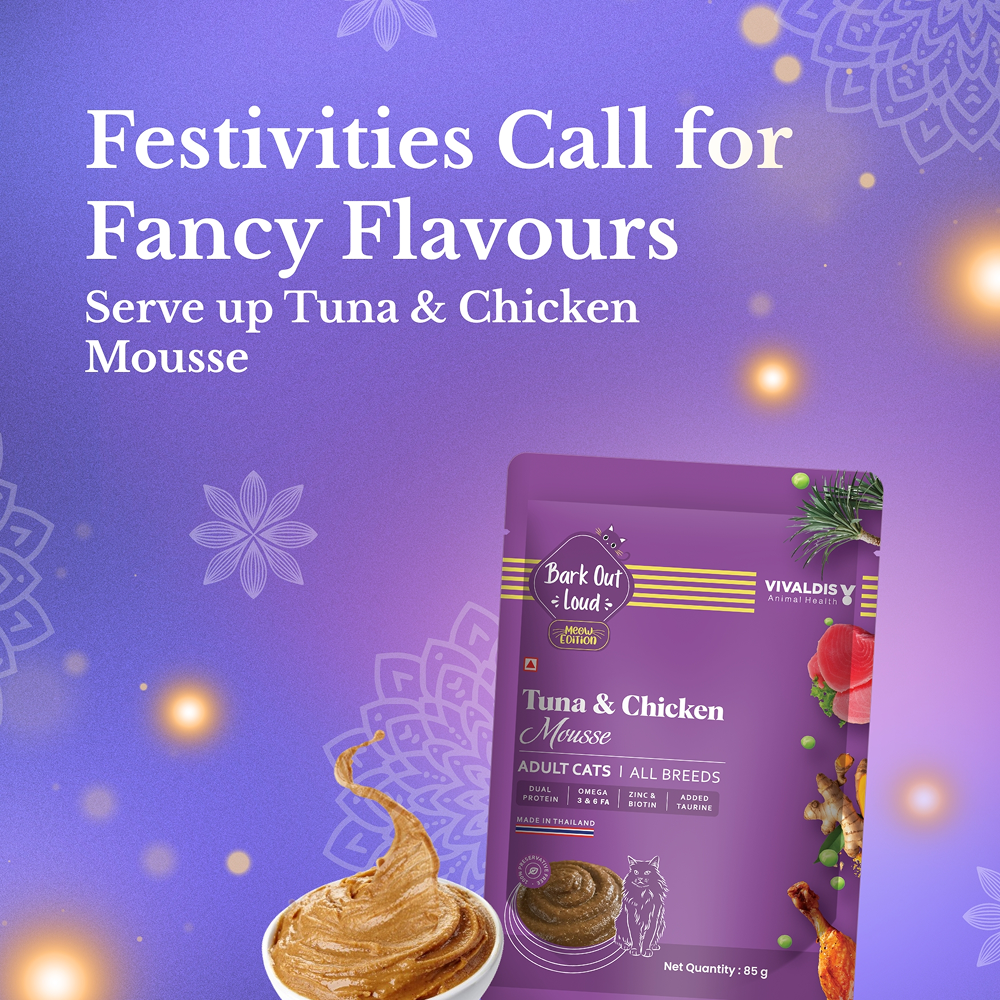 Bark Out Loud Festive Gift Box for Cats image 4