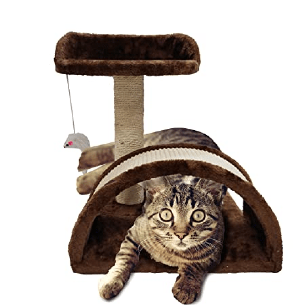 Emily Pets Cat Tree Scratching Post for Kittens & Cats (Black) image 3