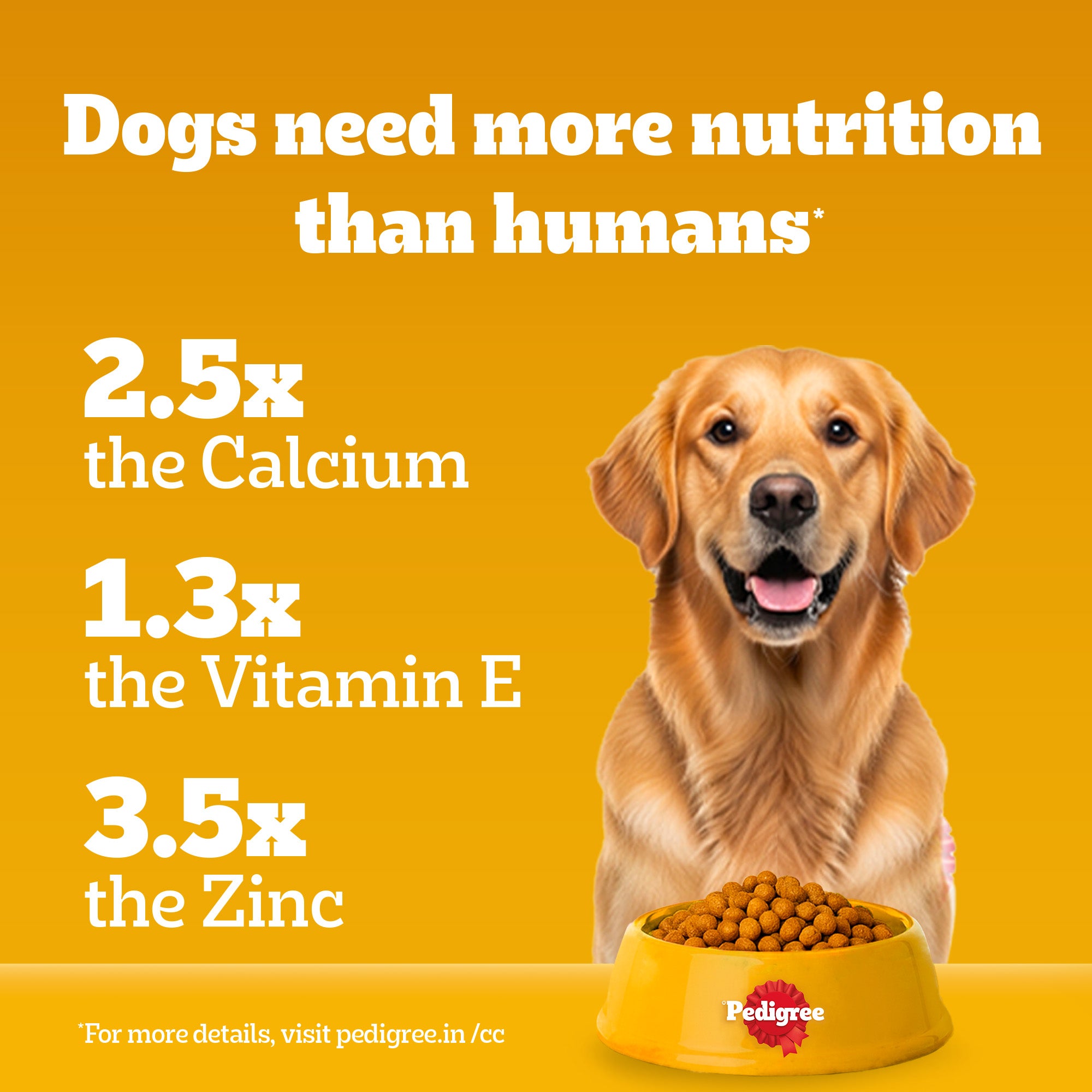Pedigree Chicken, Egg and Rice Adult Dog Dry Food image 5