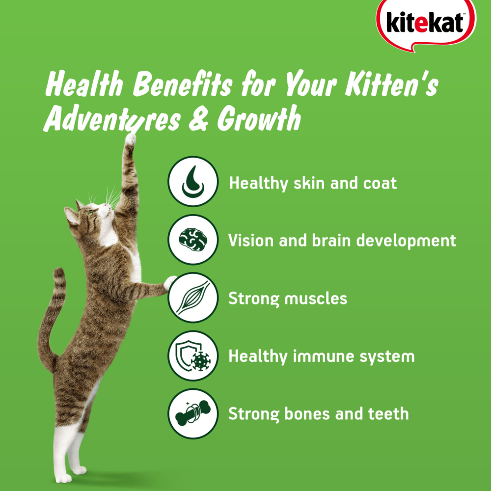 Kitekat Ocean Fish Kitten Dry Food image 5