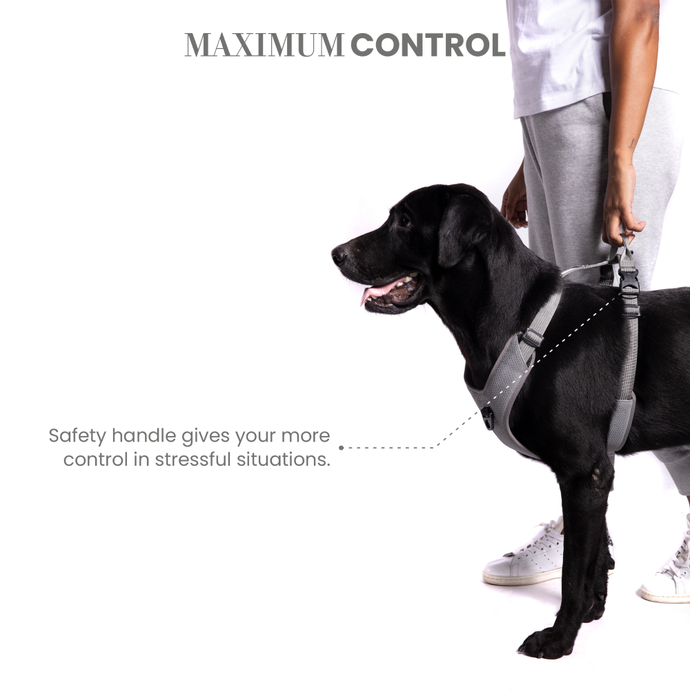 Truelove Harness with Reflective Fabric for Dogs (Gray) image 4