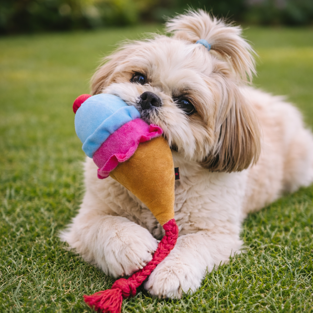Pawgypets Ice Cream Plush with Rope Toy for Dogs