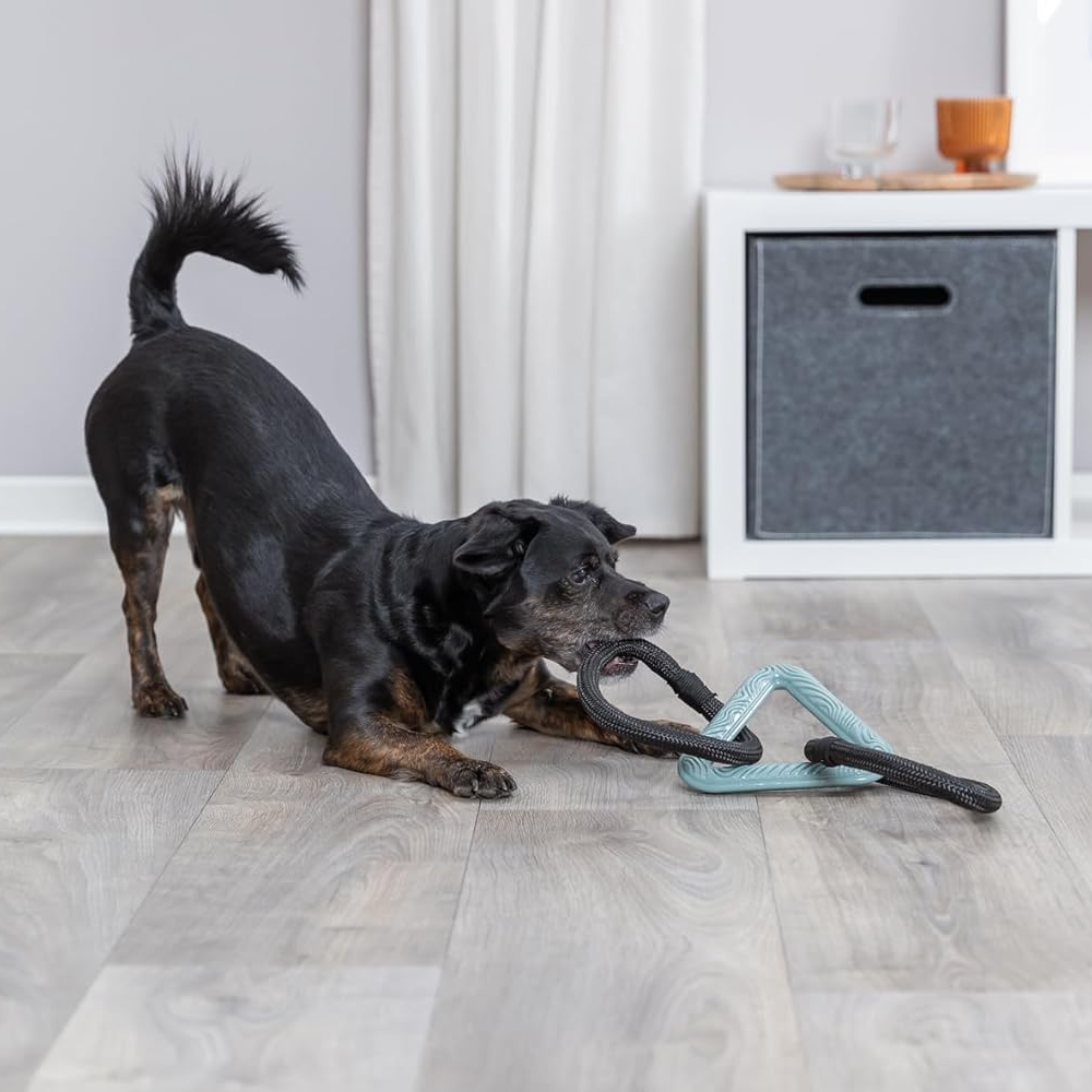 Trixie Citystyle Triangle with Rope Rings Toy for Dogs image 2