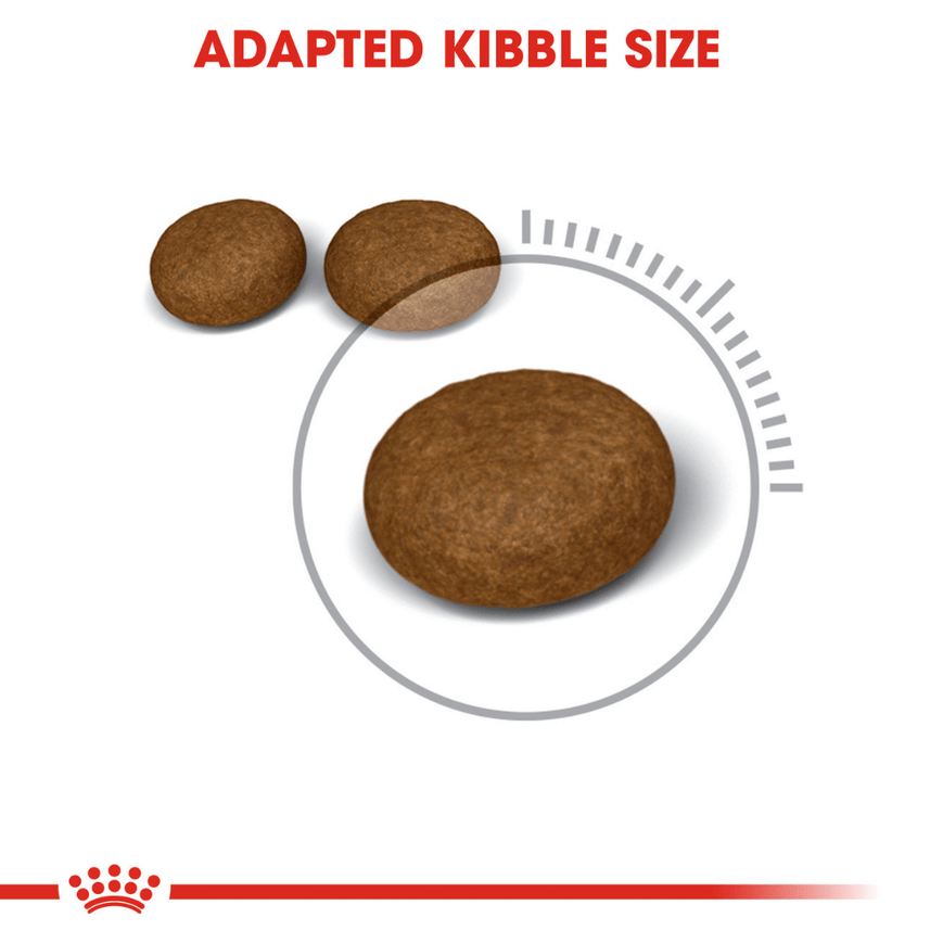 Royal Canin Hair & Skin Care and Persian Adult Cat Dry Food Combo image 5