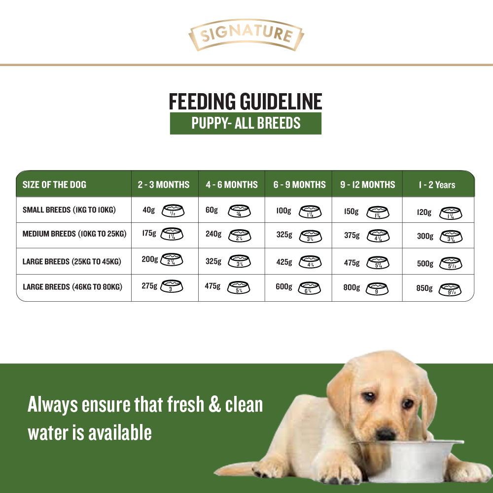 Signature Grain Zero Real Chicken, Egg and Vegetables Puppy Dog Dry Food image 4