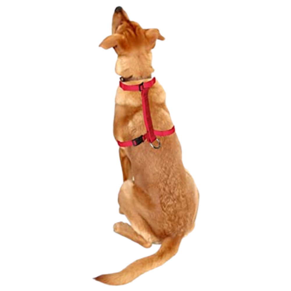 Trixie Classic H Harness for Dogs (Red) image 4