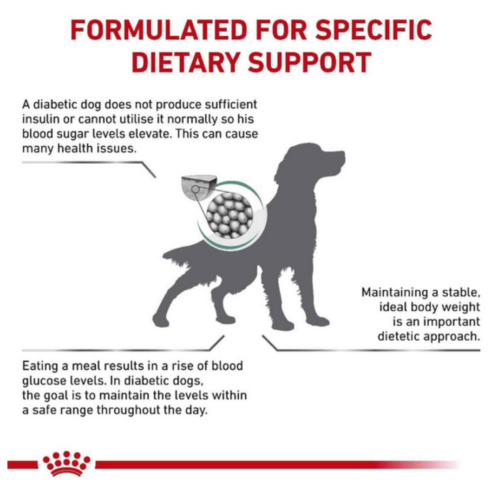 Royal Canin Diabetic Canine Dog Dry Food image 2