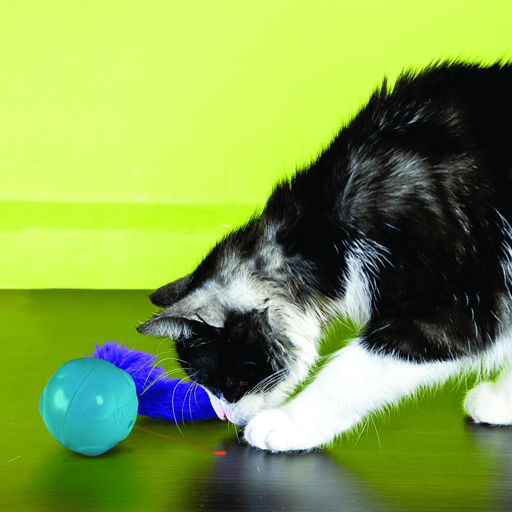 Kong Laser Craze Catnip Toys for Cats image 3