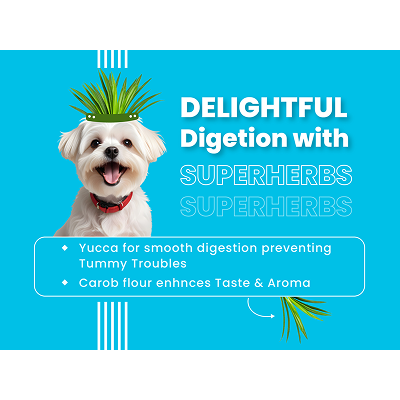 Bark Out Loud Chicken & Ancient Grains Mini and Small Breed Adult Dog Dry Food image 6