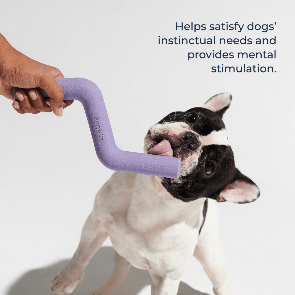 Furry & Co Volt Toy for Dogs (Lilac) image 4