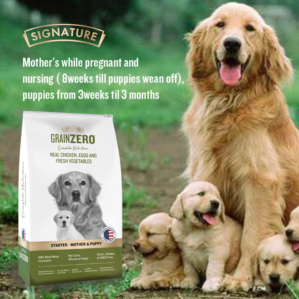 Signature Grain Zero Real Chicken, Egg and Vegetables Mother and Puppy Starter Dog Dry Food image 6
