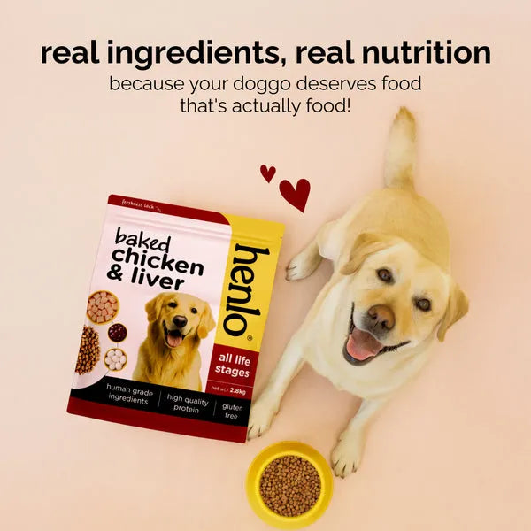 Henlo Baked Chicken Adult and Puppy Dog Dry Food | 100% Human Grade Ingredients image 7