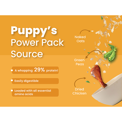 Bark Out Loud Chicken & Ancient Grains Puppy Dry Food image 4