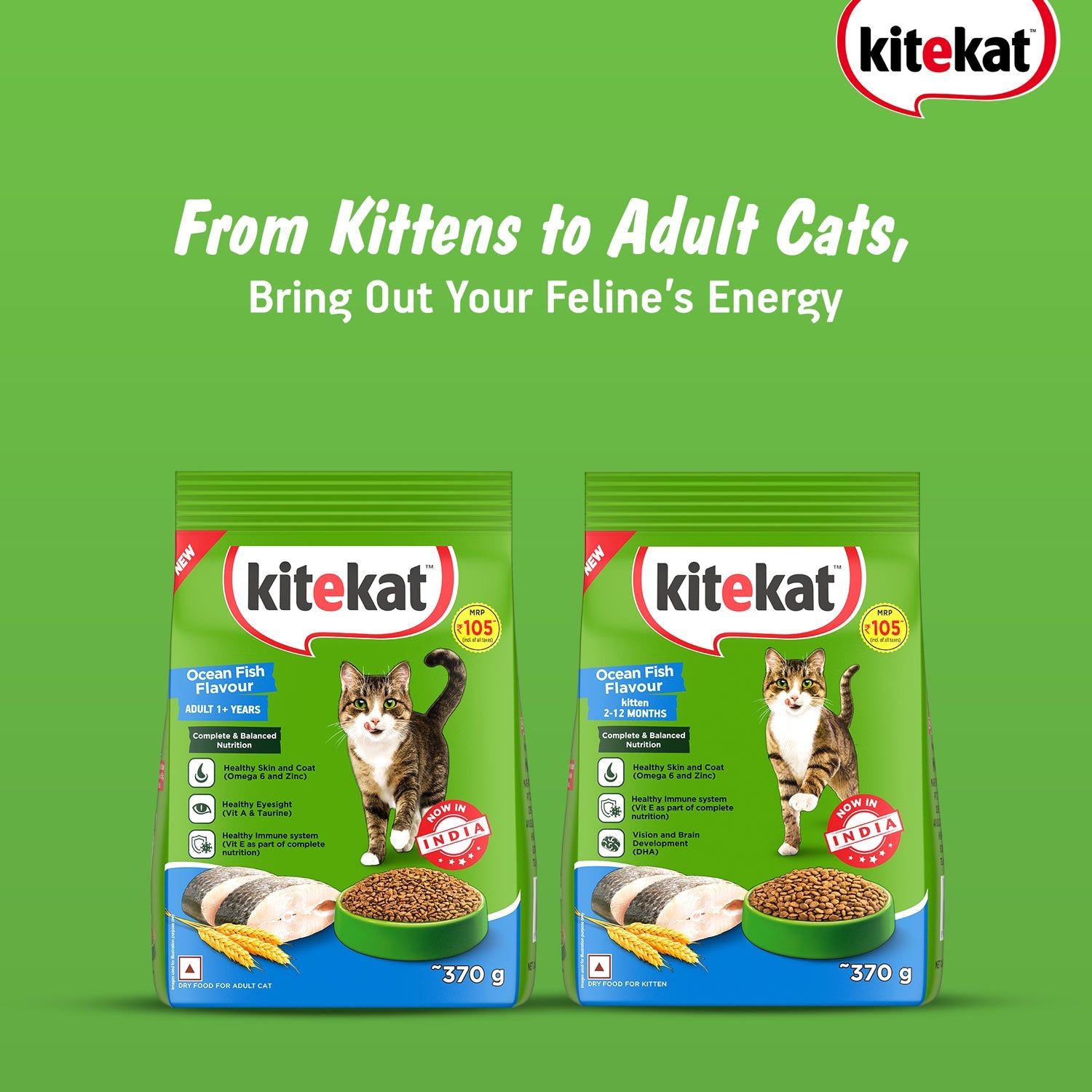 Kitekat Ocean Fish Kitten Dry Food image 10