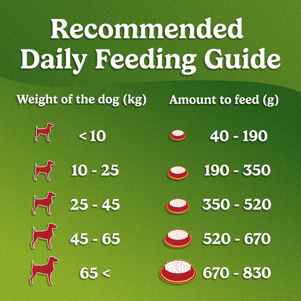 Purina Friskies Meat Adult Dog Dry Food image 10