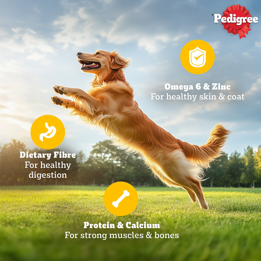 Pedigree Chicken and Liver Chunks in Gravy Adult Dog Wet Food (130g) image 5