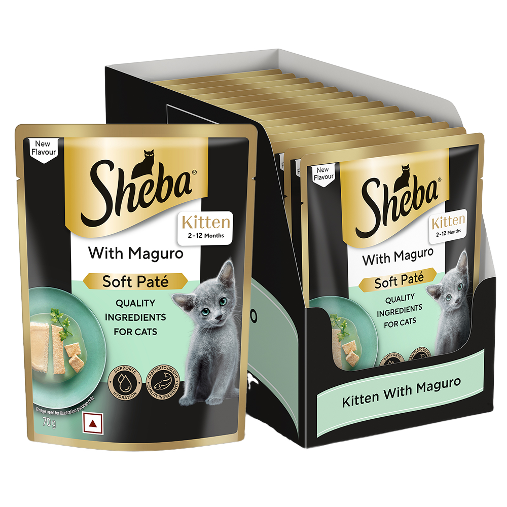 Sheba Maguro Pate Rich Premium Kitten Cat Wet Food