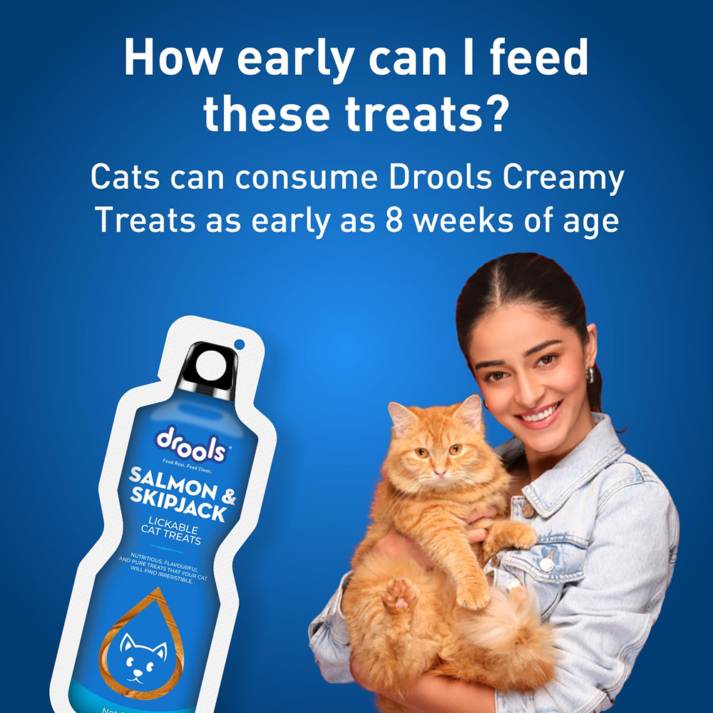 Drools Salmon & Skipjack Creamy Lickable Cat Treats image 9
