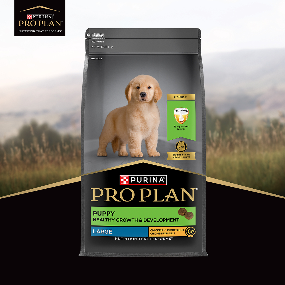 Pro Plan Chicken Large Breed Puppy Dog Dry Food (New Improved Formula) image 5