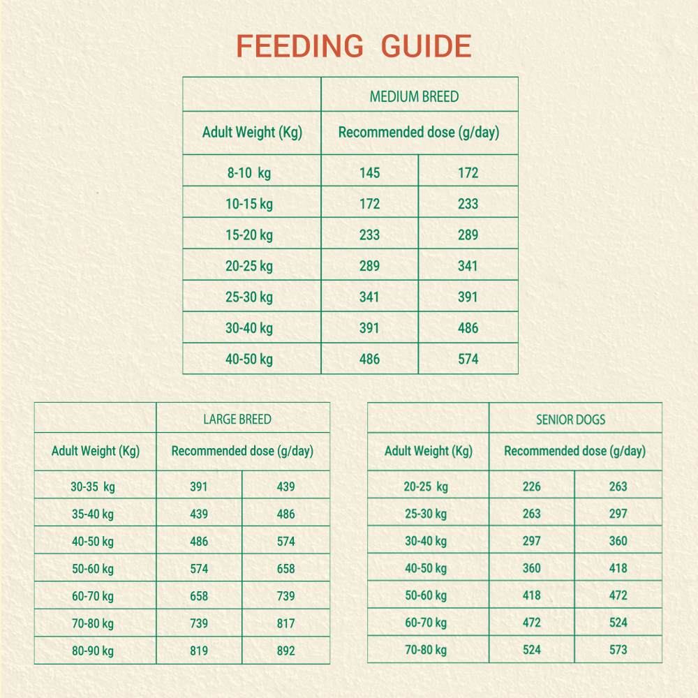 Bruno's Wild Essentials Chicken Recipe Adult Dog Dry Food image 6