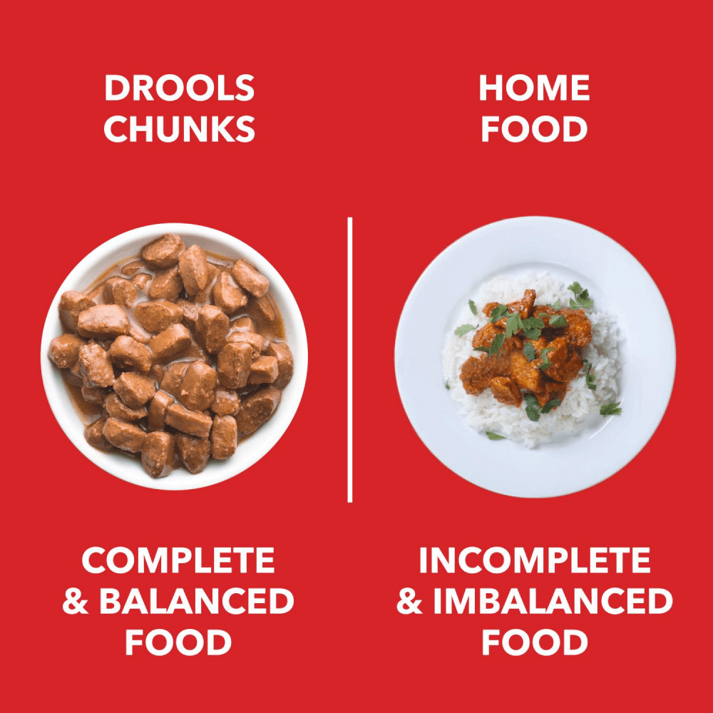 Drools Focus Super Premium Dry Food and Chicken & Liver Chunks in Gravy Adult Dog Wet Food Combo image 10