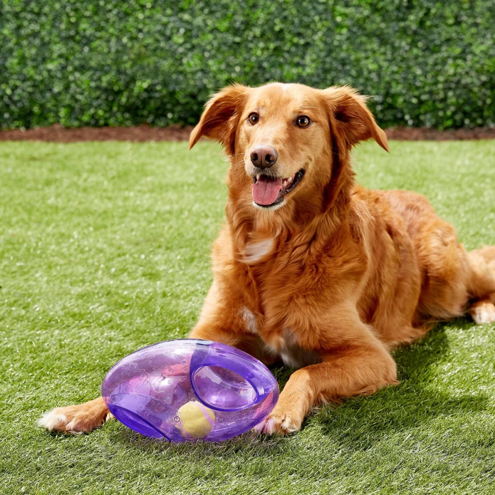 Kong Jumbler Football Toy for Dogs (Sea Blue) image 3