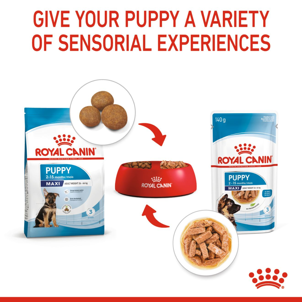 Royal Canin Maxi Puppy Dog Wet Food image 6
