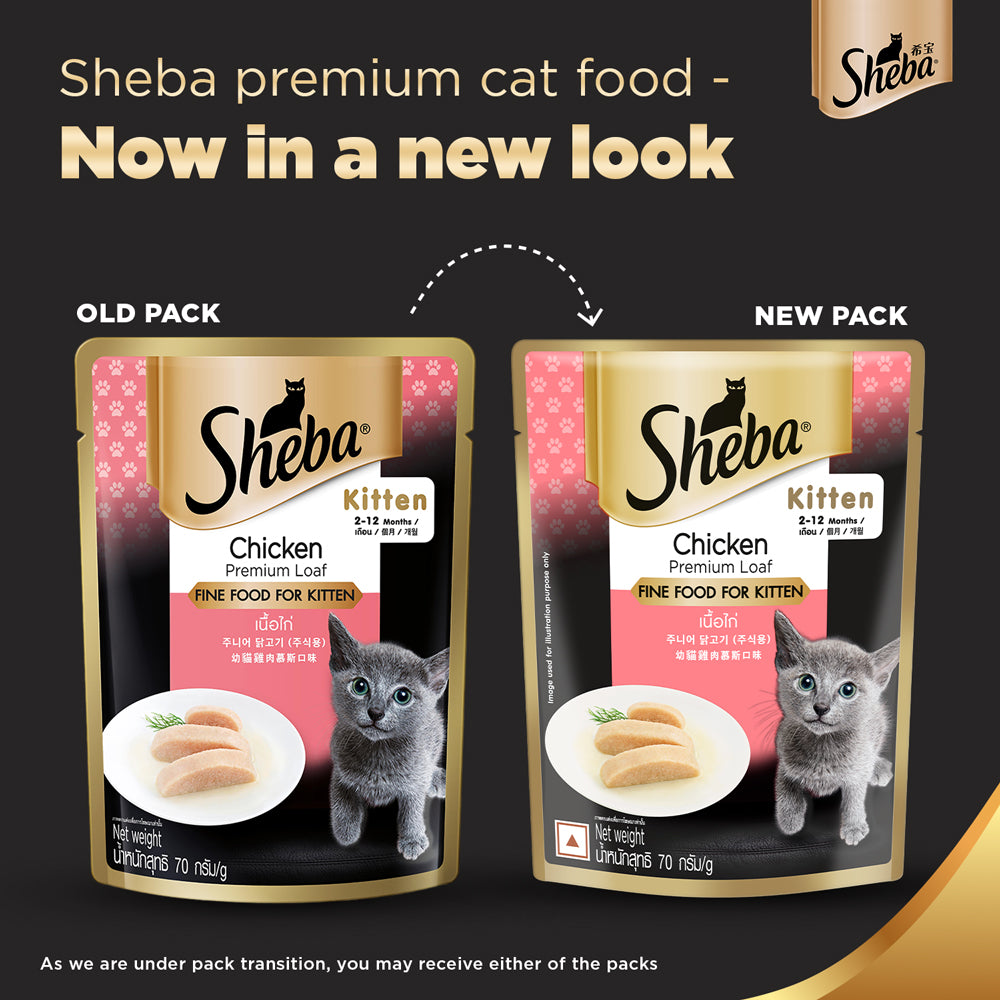 Sheba Chicken Loaf Premium Kitten (2 to 12 Months) Wet Food and Chicken All Life Stage Cat Dry Food Combo image 2