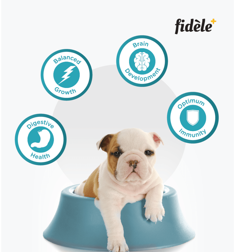 Fidele Plus Starter Puppy Dry Food image 6