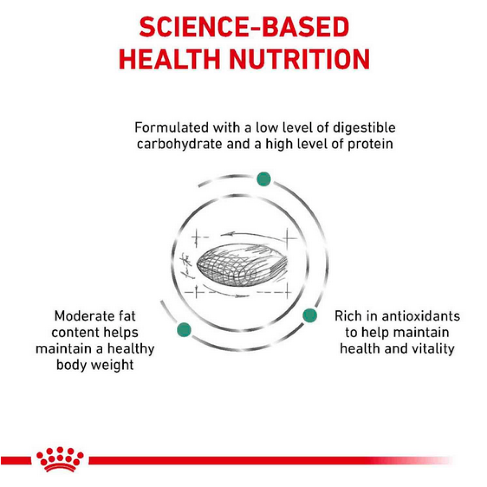 Royal Canin Diabetic Canine Dog Dry Food image 3