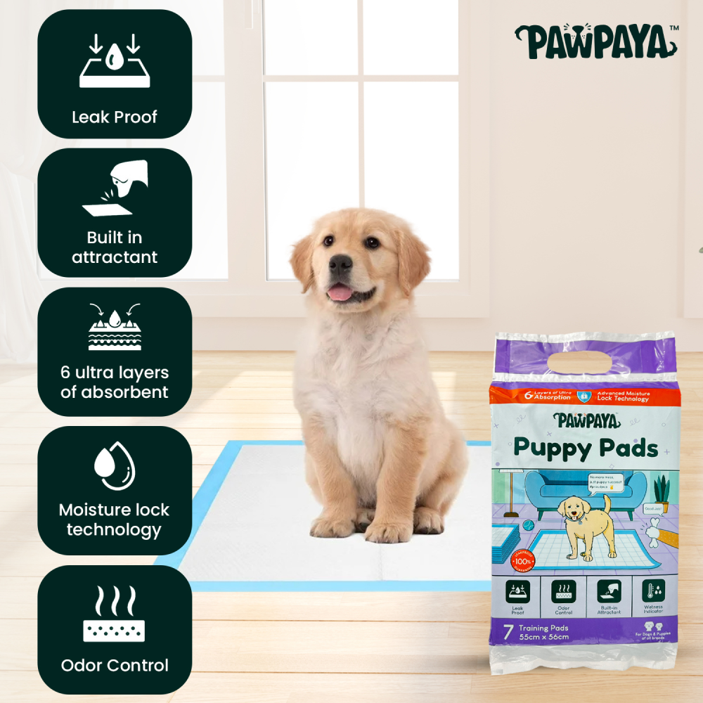 Pawpaya Training Pad for Dogs (White) image 2