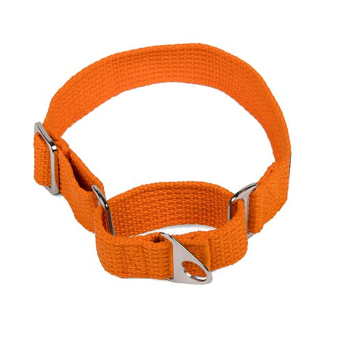 Let's Wag Martingale Fabric Collar for Dogs (Orange) image 3
