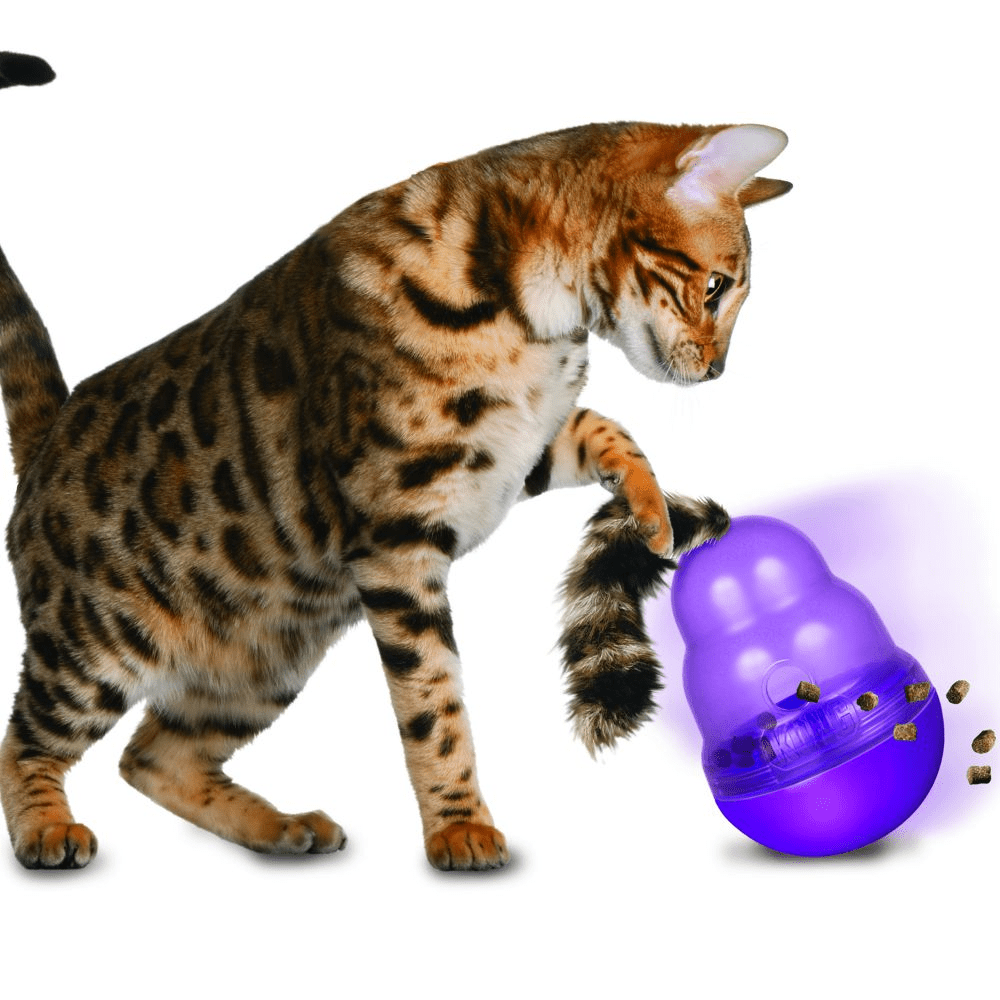 Kong Wobbler Toy for Cats image 4