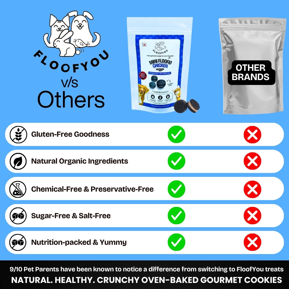 Floofyou Mini Floofio Chicken Oven Baked Cookie Dog Treats image 4
