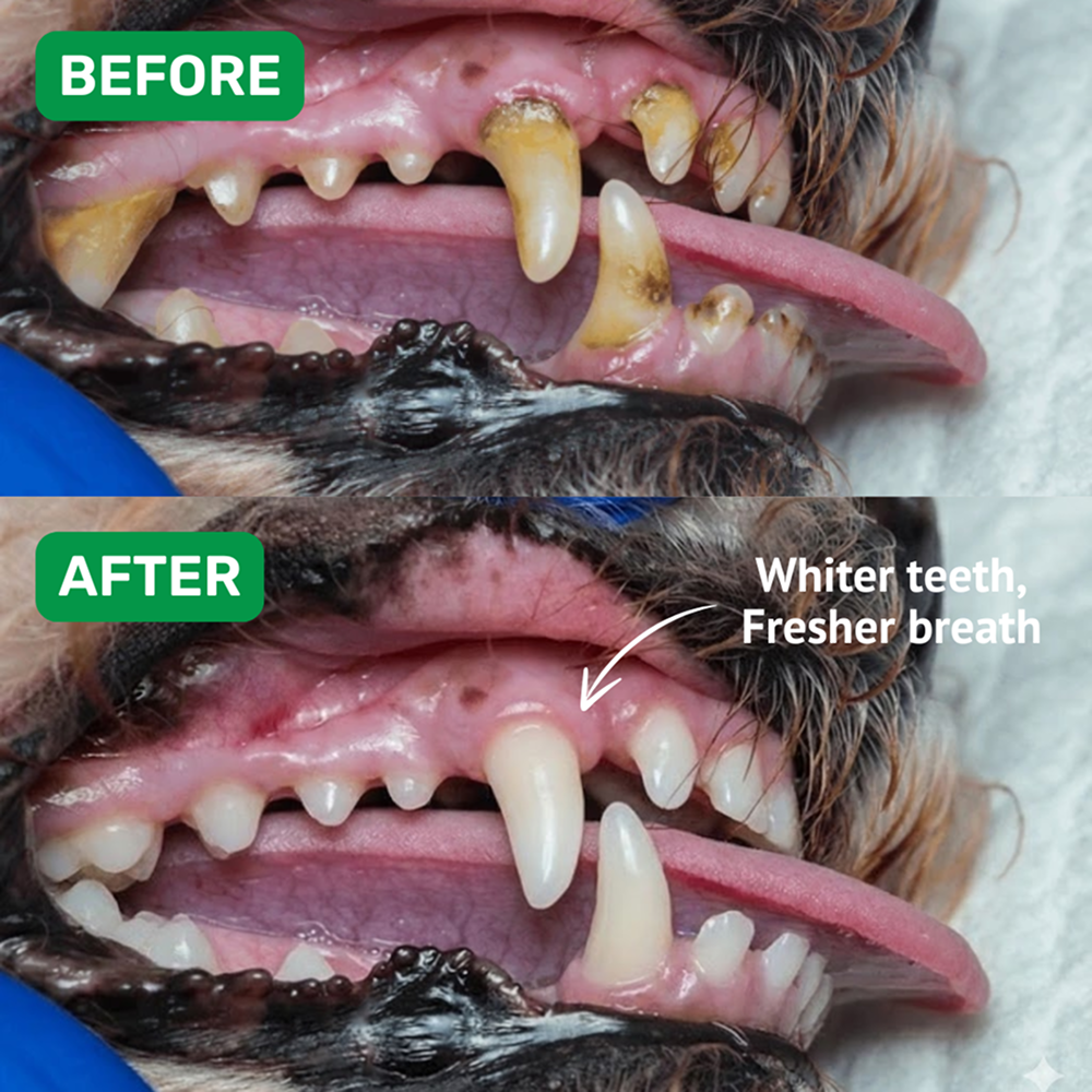 Absolut Pet Oral Care Plaque & Tartar Remover Powder Dog Supplements image 3