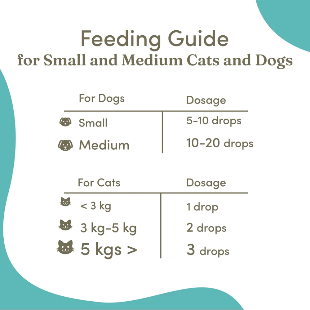 Vedic Tails Mild Cannabis Leaf Oil for Dogs and Cats image 5