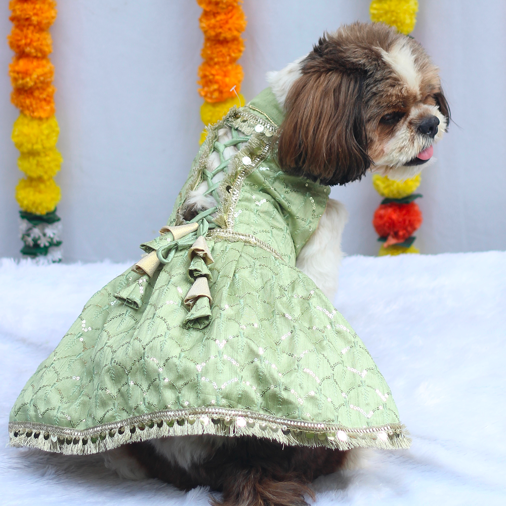 Pawgypets Shahi Lehengas Dress for Dogs (Pastel Green)