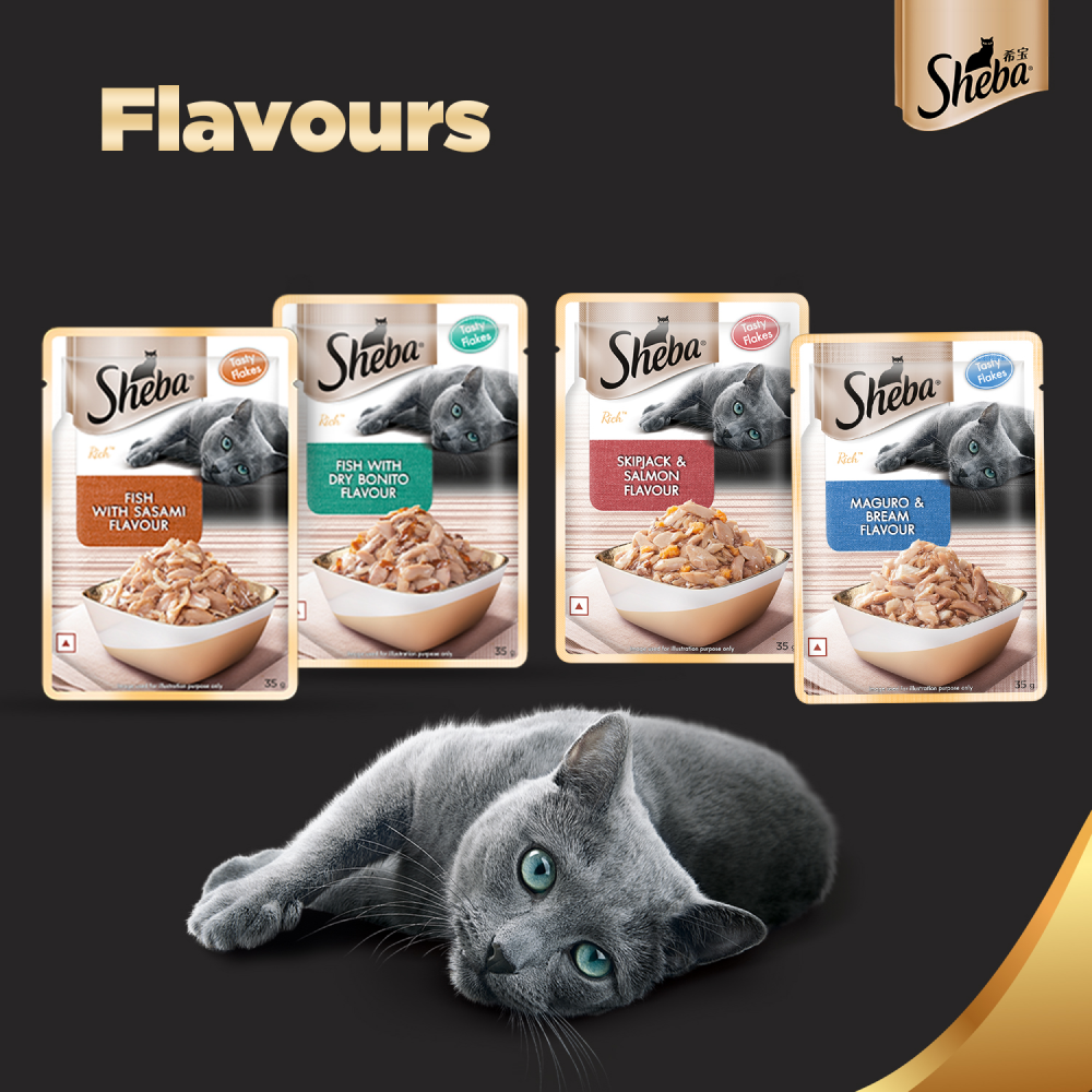Sheba Fish with Dry Bonito Flake Premium Cat Wet Food image 10