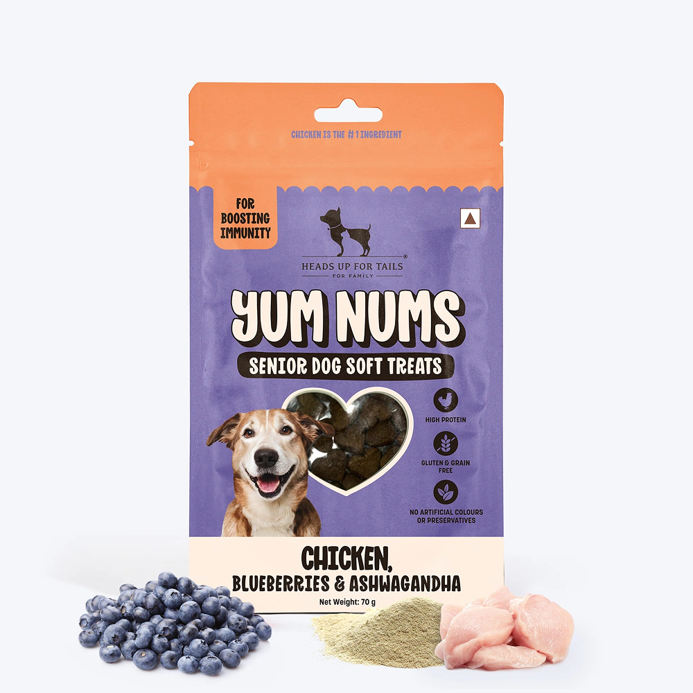 HUFT Yum Nums Grain Free Chicken, Blueberries & Ashwagandha Soft & Chewy Sticks Senior Dog Treats image 1