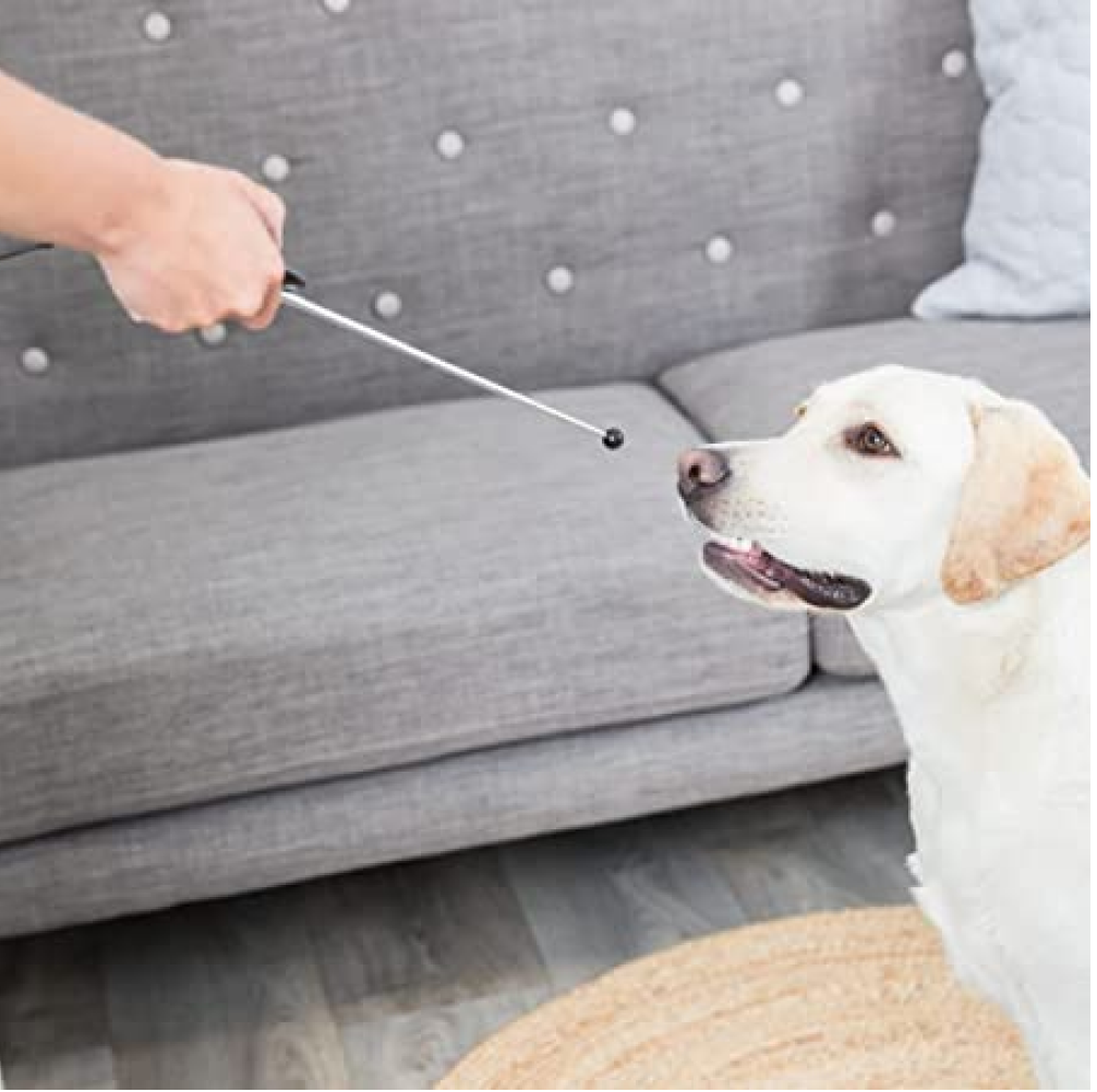 Trixie Target Stick with Clicker Button Retractable Toy for Dogs and Cats (Grey) image 3
