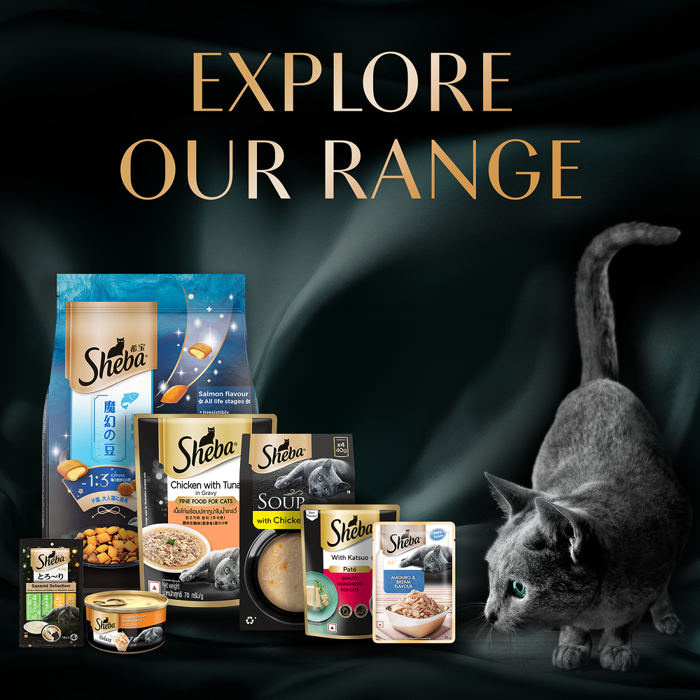 Sheba Maguro Pate Rich Premium Adult Fine Cat Wet Food image 8