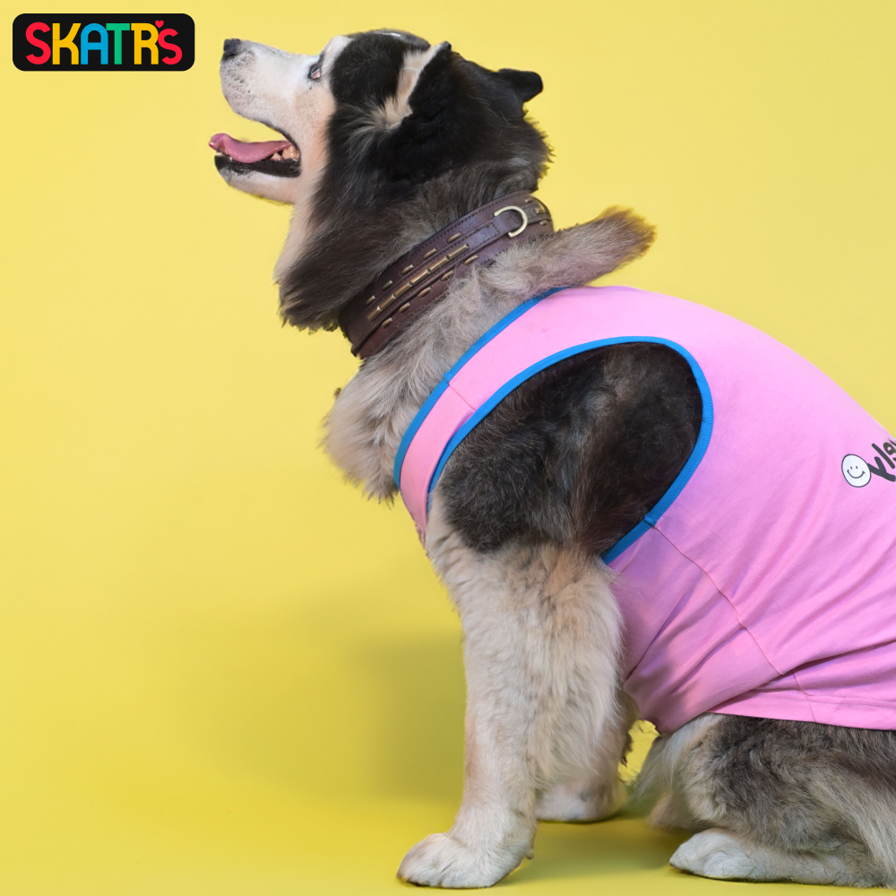 Skatrs Pawsitively Adorable Printed Summer Cotton T Shirt for Dogs and Cats (Pink) image 5