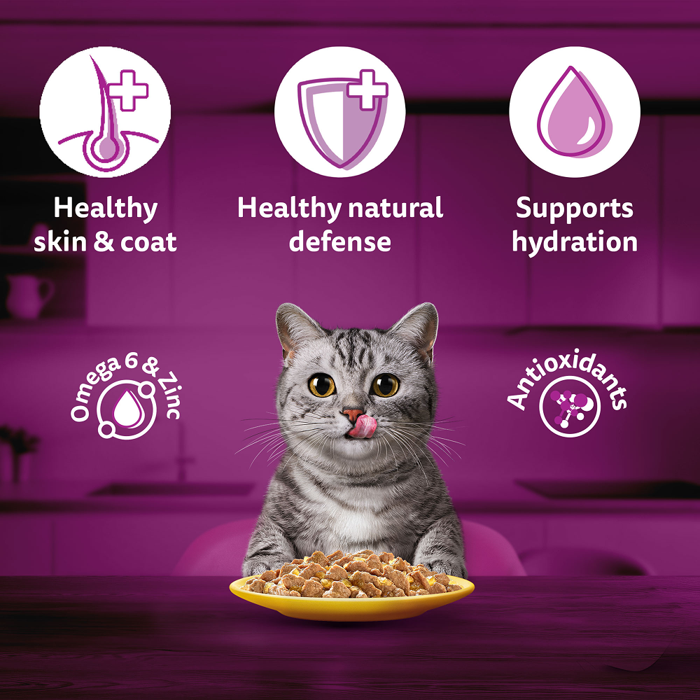 Whiskas Chicken in Gravy Adult Cat Wet Food image 3