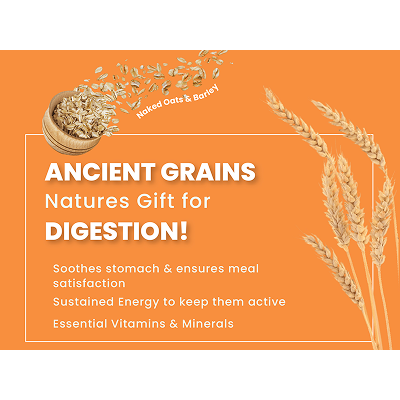Bark Out Loud Chicken & Ancient Grains Mini and Small Breed Adult Dog Dry Food image 7