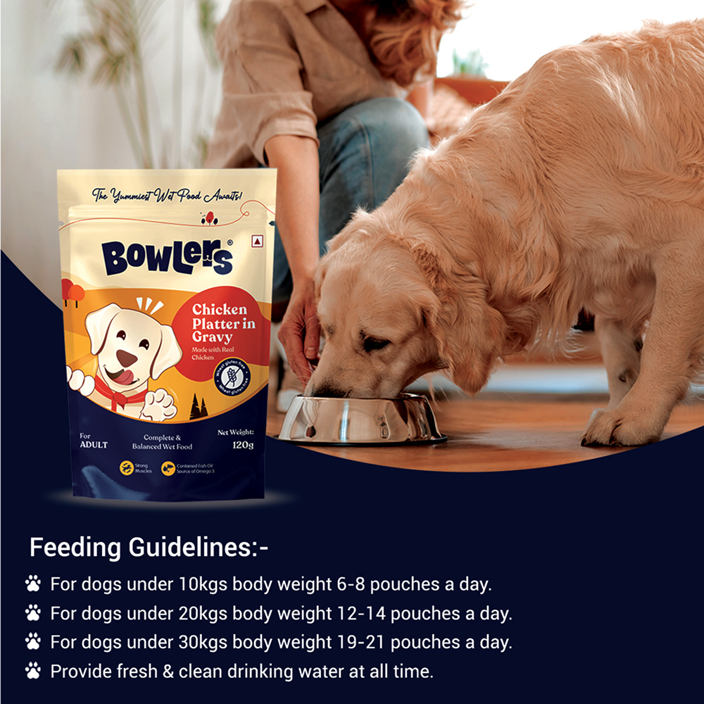 Bowlers Chicken Recipe in Gravy Dog Wet Food image 5