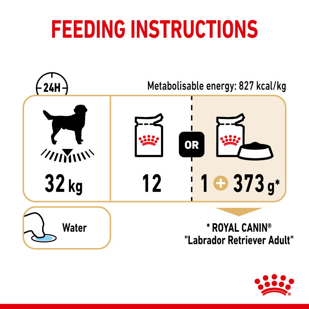 Royal Canin Chunks In Gravy Labrador Retriever Adult Dog Wet Food image 7