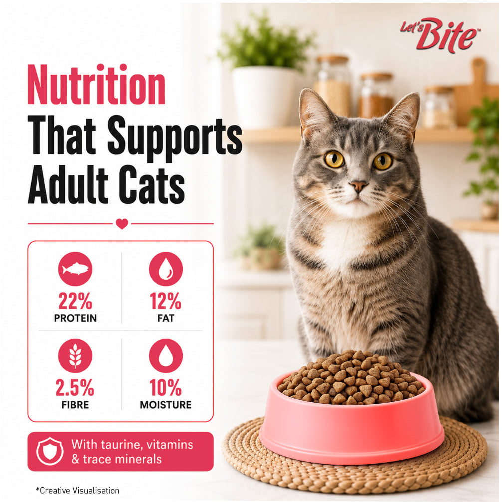 Let's Bite Active Adult Ocean Fish Dry Cat Food image 5