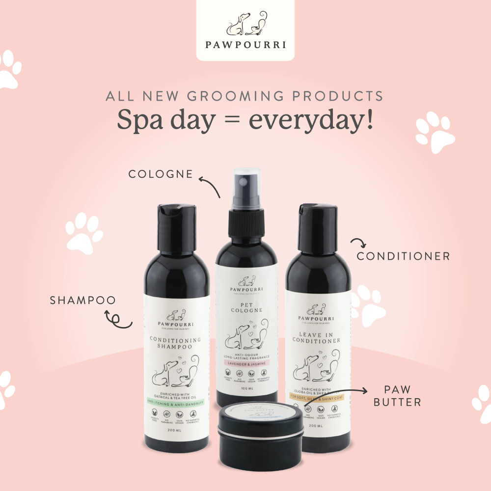 Pawpourri Leave In Conditioner for Dogs image 5