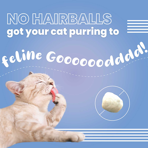 Bark Out Loud by Vivaldis Hairball Control Pillow Cat Treats image 6